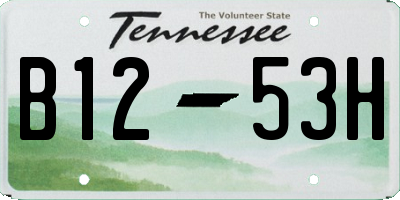 TN license plate B1253H