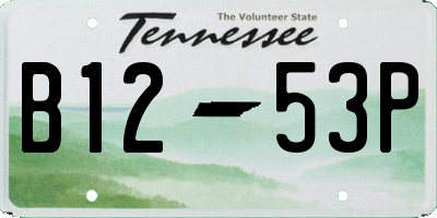 TN license plate B1253P