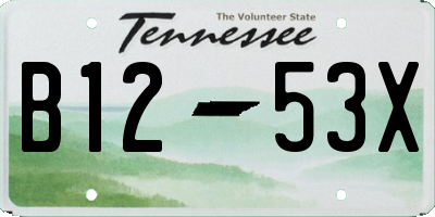 TN license plate B1253X