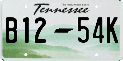 TN license plate B1254K