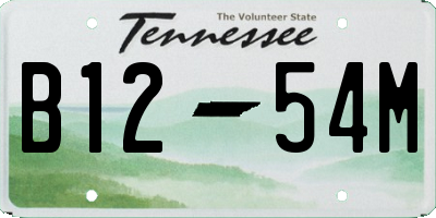 TN license plate B1254M
