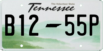 TN license plate B1255P