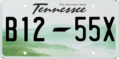 TN license plate B1255X