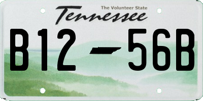 TN license plate B1256B