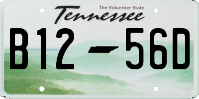 TN license plate B1256D