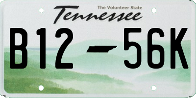 TN license plate B1256K