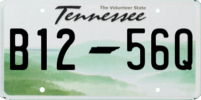 TN license plate B1256Q