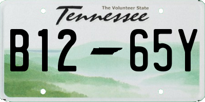 TN license plate B1265Y