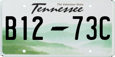 TN license plate B1273C