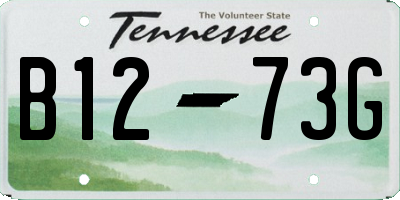 TN license plate B1273G