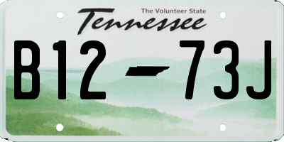 TN license plate B1273J