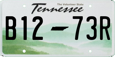 TN license plate B1273R