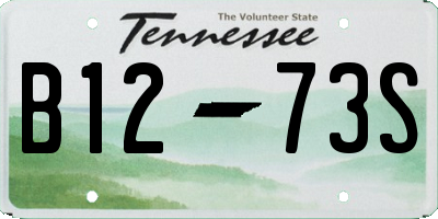 TN license plate B1273S