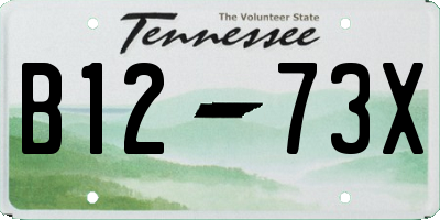 TN license plate B1273X