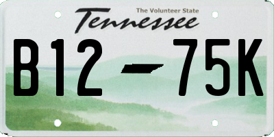 TN license plate B1275K