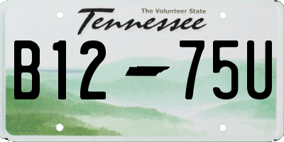 TN license plate B1275U