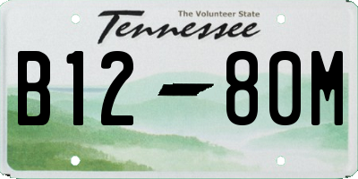 TN license plate B1280M