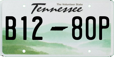 TN license plate B1280P