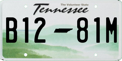 TN license plate B1281M