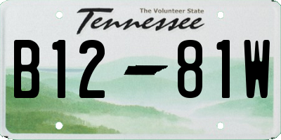 TN license plate B1281W