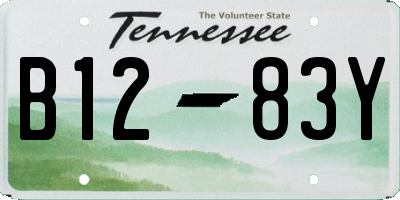 TN license plate B1283Y
