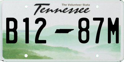 TN license plate B1287M
