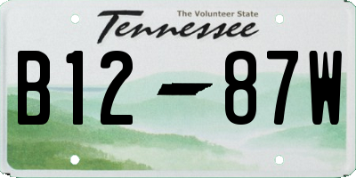 TN license plate B1287W