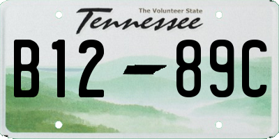 TN license plate B1289C