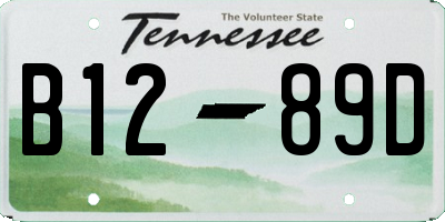 TN license plate B1289D
