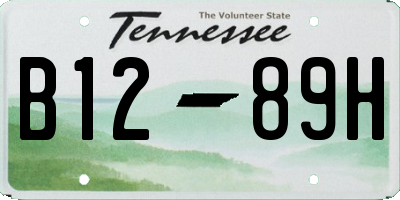 TN license plate B1289H