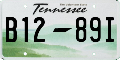 TN license plate B1289I