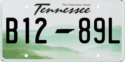 TN license plate B1289L