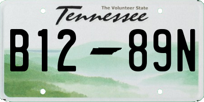 TN license plate B1289N
