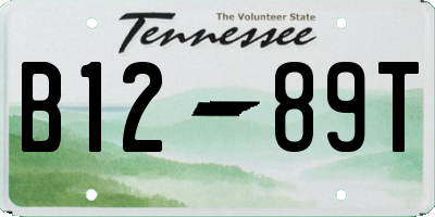 TN license plate B1289T