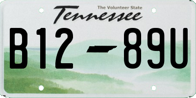 TN license plate B1289U