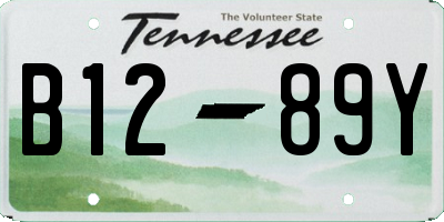 TN license plate B1289Y