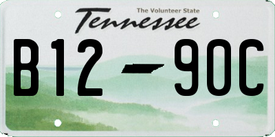 TN license plate B1290C
