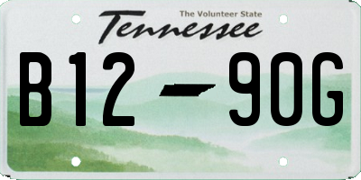 TN license plate B1290G