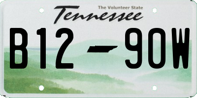TN license plate B1290W