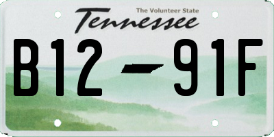 TN license plate B1291F