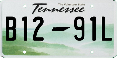TN license plate B1291L