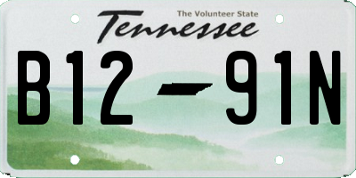 TN license plate B1291N