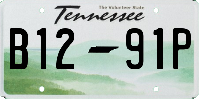 TN license plate B1291P