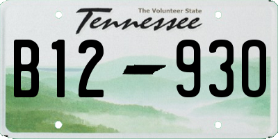 TN license plate B1293O