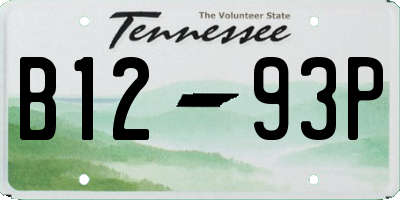 TN license plate B1293P