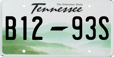 TN license plate B1293S