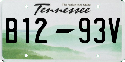TN license plate B1293V