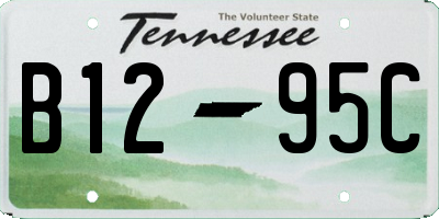 TN license plate B1295C
