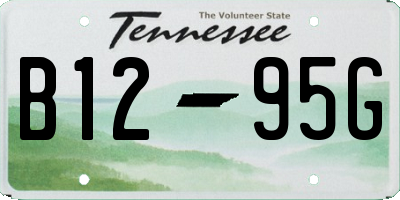 TN license plate B1295G