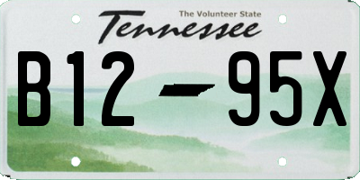 TN license plate B1295X